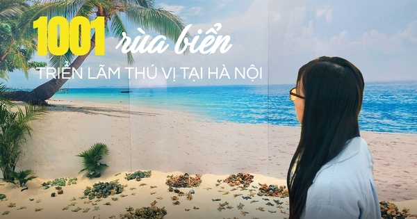 Lạc vào “xứ sở” rùa biển gốm giữa Hà Nội: Đằng sau khung cảnh biển cực “ảo” là ý nghĩa vô cùng đặc biệt mà ai cũng nên biết
