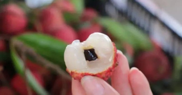 Cho trẻ con ăn vải thiều đúng cách