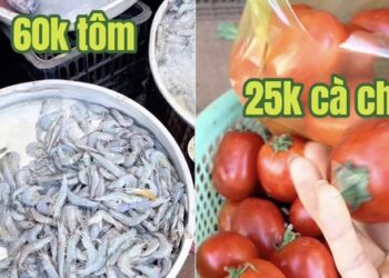1 tháng chỉ mất 2 triệu tiền thức ăn cho 4 người, mẹ đảm Tây Nguyên chia sẻ bí quyết đi chợ siêu tiết kiệm
