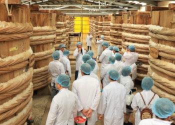 Đến thăm nhà thùng nước mắm Chin-su Phú Quốc, nếm thử độ “thiên biến vạn hoá” của nước mắm cùng ẩm thực Việt