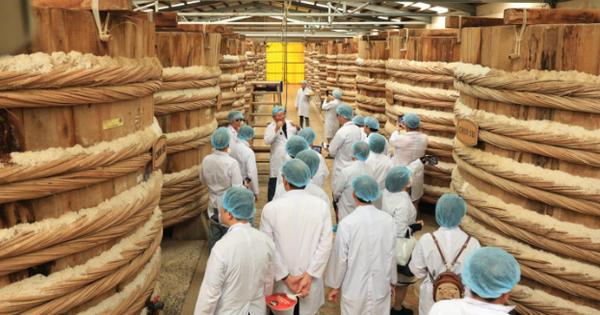 Đến thăm nhà thùng nước mắm Chin-su Phú Quốc, nếm thử độ “thiên biến vạn hoá” của nước mắm cùng ẩm thực Việt