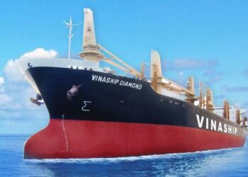 Sau 13 năm không cổ tức, một công ty vận tải biển sắp trả cổ phiếu thưởng tỷ lệ 70%