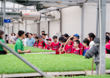 “Hành trình nông sản sạch” – những trải nghiệm thú vị cho học sinh tiểu học