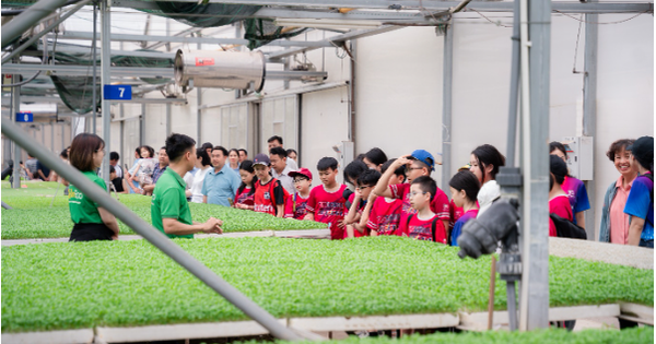 “Hành trình nông sản sạch” – những trải nghiệm thú vị cho học sinh tiểu học
