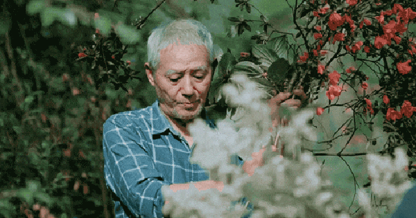 Ông nội xây cả một không gian chữa lành “to đùng” ở quê cho cả nhà: Chốn đi về bình yên ai cũng ao ước