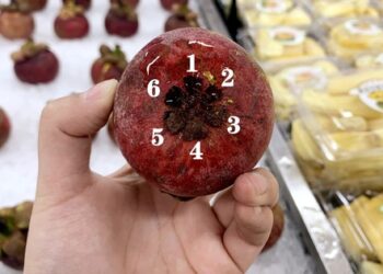 Cách chọn măng cụt nhiều múi, cùi dày không bị nhầy vàng: Chỉ cần nhìn vào điểm này là biết