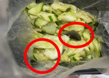 Túi dưa góp “tặng” kèm… tăm xỉa răng và đồ ăn cũ khiến thực khách kinh hãi: Là của quán miến lươn nổi tiếng phố cổ?
