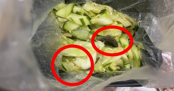 Túi dưa góp “tặng” kèm… tăm xỉa răng và đồ ăn cũ khiến thực khách kinh hãi: Là của quán miến lươn nổi tiếng phố cổ?