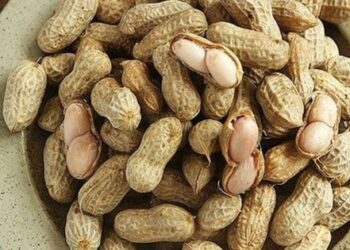 Gia vị nên thêm vào khi luộc lạc