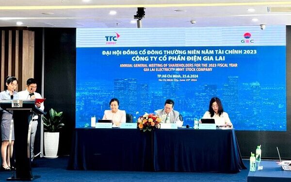 ĐHĐCĐ Điện Gia Lai: Kế hoạch lợi nhuận tăng 72%, tiếp tục đầu tư và M&A các dự án năng lượng tái tạo