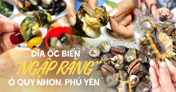 Quy Nhơn – Phú Yên đi một lần nhớ mãi cũng vì thứ đặc sản “ngập răng” này, trong đó có loại vị ngon miễn bàn!