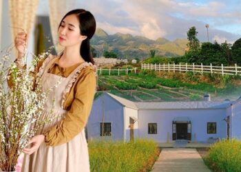 Bỏ phố lớn về Mộc Châu sinh sống, cô gái thuê đất làm homestay, hạnh phúc với cuộc đời bình yên
