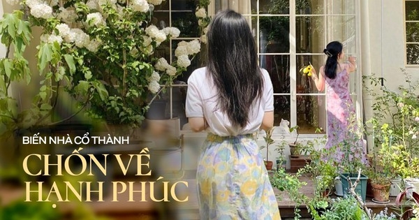 Người phụ nữ mua một căn nhà cũ rộng 60m2 và biến khoảng sân rộng 40m2 thành khu vườn mơ ước, cách trang trí ai nhìn cũng thích mê