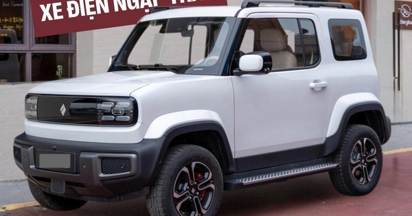 Loạt xe điện ra mắt Việt Nam nửa cuối 2024: Hầu hết là xe Trung Quốc, giá từ vài trăm triệu tới hàng tỷ đồng