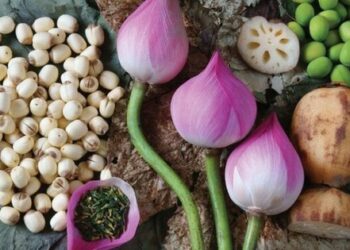 Mẹo bảo quản hạt sen tươi để cả năm không bị thâm