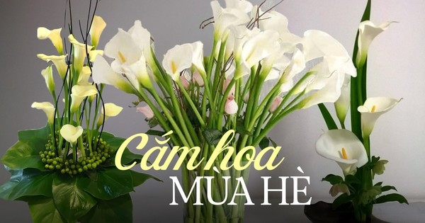 Loài hoa “đỏng đảnh” nhưng nhất định phải cắm vào mùa hè, ưa sáng, chịu được nhiệt độ cao, độ bền lên tới 15 ngày
