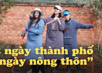 Thế hệ khởi đầu làn sóng xả stress: Làm việc 5 ngày/tuần, cuối tuần về quê làm ruộng