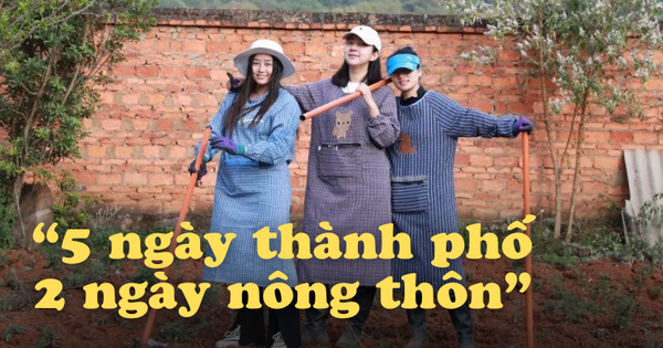 Thế hệ khởi đầu làn sóng xả stress: Làm việc 5 ngày/tuần, cuối tuần về quê làm ruộng