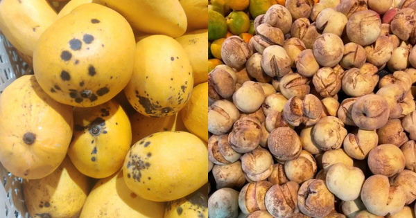 Độc lạ thực phẩm khiến chị em giật mình: Xoài da báo, chuối hạt mè còn cả cá bơi ngửa…