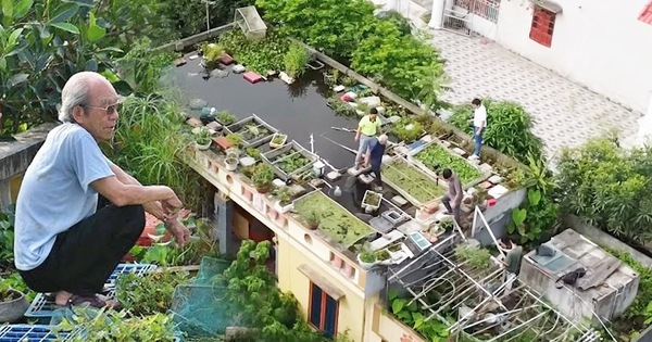 Ao cá trên nóc nhà của cụ ông 89 tuổi ở Hải Dương: Có khách cũng không phải đi chợ, lên ao là có ăn