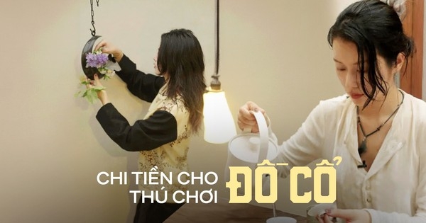 Có 1 nhóm phụ nữ độc thân: Không mua nhà và xe mà ngược lại, chi rất nhiều tiền cho những món đồ cổ