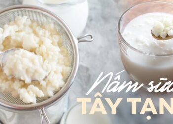 Tại sao cứ vào những ngày hè nóng hầm hập, nấm sữa kefir lại được chị em rủ nhau sử dụng?