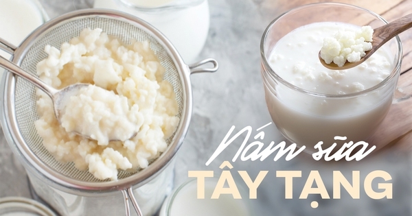 Tại sao cứ vào những ngày hè nóng hầm hập, nấm sữa kefir lại được chị em rủ nhau sử dụng?