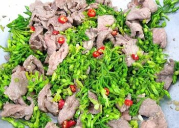 Cách làm món thịt bò xào bông thiên lý thơm ngon đậm vị