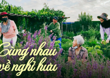 Cùng nhau nghỉ hưu dưỡng già: Thuê đất “vui thú điền viên” làm nông giữa lòng thành phố, không vướng bận con cháu