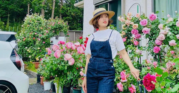 Ngôi nhà lúc nào cũng thơm nức mùi hoa vì có vườn hồng hơn 80 loại của mẹ Việt ở Nhật