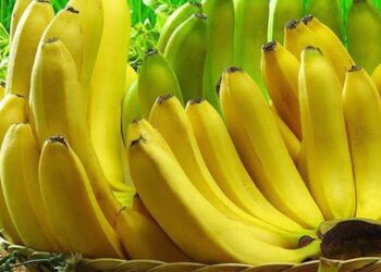 Cách bảo quản chuối không bị thâm đơn giản ai cũng làm được
