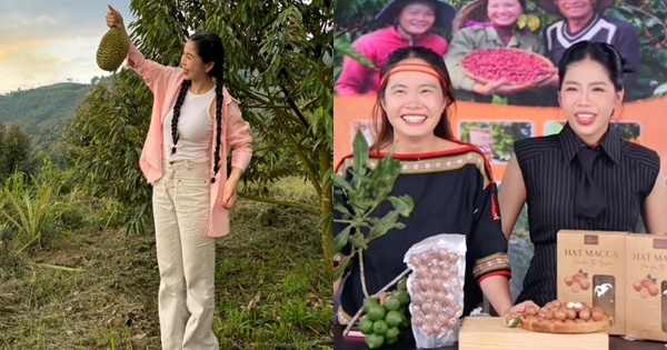 Giữa ồn ào chồng đòi ly hôn, Hằng Du Mục vẫn không quên ủng hộ nông sản Việt bằng việc làm này