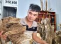 Rủi may nghề xoi trầm