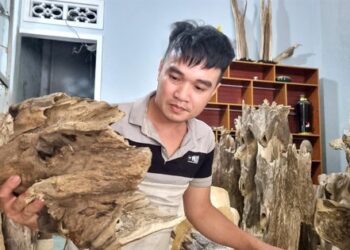 Rủi may nghề xoi trầm
