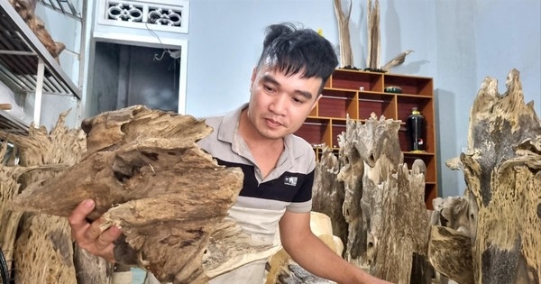 Rủi may nghề xoi trầm