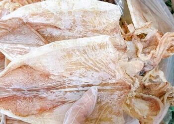 Mua mực khô nên chọn con to hay con nhỏ?