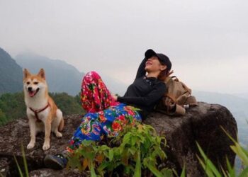 Chú chó thành “idol mạng” nhờ chinh phục 7 ngọn núi khó trèo ở Việt Nam