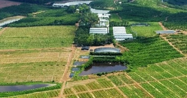 Cơn sốt ‘bỏ phố về rừng’ thoái trào: Đất vườn giảm giá sâu vẫn không thể bán