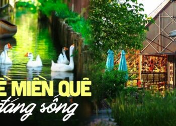 Gia đình 4 người về quê xây nhà rộng 12.000m2: Không điều hòa, con người và thiên nhiên cùng tồn tại