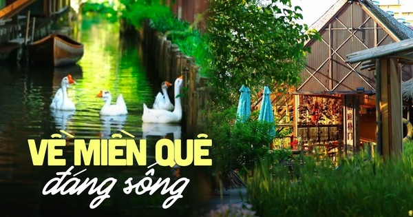 Gia đình 4 người về quê xây nhà rộng 12.000m2: Không điều hòa, con người và thiên nhiên cùng tồn tại