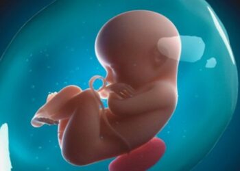 Vì sao mẹ lên cân nhiều nhưng thai nhi lại nhỏ?