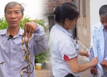 Dị nhân Nam Định móng tay dài 1m vì 33 năm không cắt, giờ muốn bán với giá 7 tỷ đồng