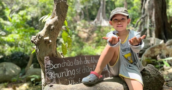 Trào lưu mới của các ”búp măng non” Đà Nẵng hè này, thay vì tắm biển sẽ ”TẮM RỪNG” – học kỹ năng sinh tồn