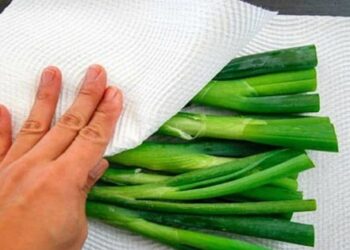 Mua rau về đừng chỉ rửa rồi cất đi, làm thêm bước này rau để cả tháng vẫn tươi xanh như mới