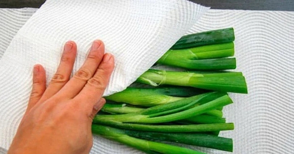 Mua rau về đừng chỉ rửa rồi cất đi, làm thêm bước này rau để cả tháng vẫn tươi xanh như mới
