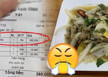 Suất cơm rang trứng 100k, đĩa hải sản 300k lèo tèo vài “cọng” ở Cát Bà khiến du khách thất vọng lên tiếng