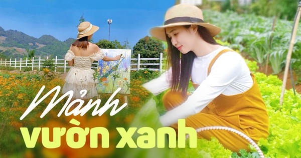 Khu vườn đẹp ấn tượng của cô gái 30 tuổi: Rau trái thu hoạch quanh năm mà chi phí cải tạo chỉ 10 triệu đồng