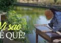 Những người chuyển về quê thuê nhà cũ để cải tạo và sinh sống: “Có những điều nhỏ bé đáng giá mà tiền không thể mua được”
