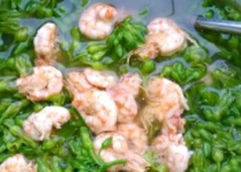Cách nấu canh hoa thiên lý với tôm đơn giản