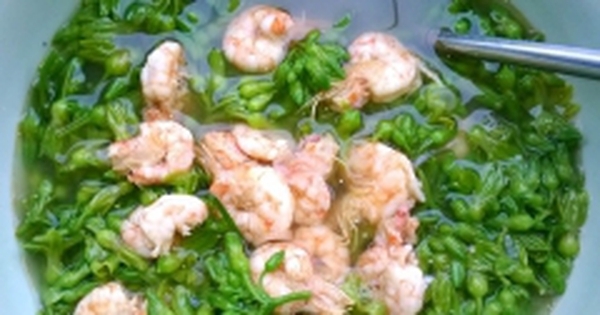 Cách nấu canh hoa thiên lý với tôm đơn giản